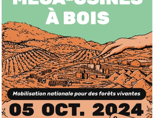 Les 4 et 5 octobre 2024 : on défend les forêts vivantes en Creuse !