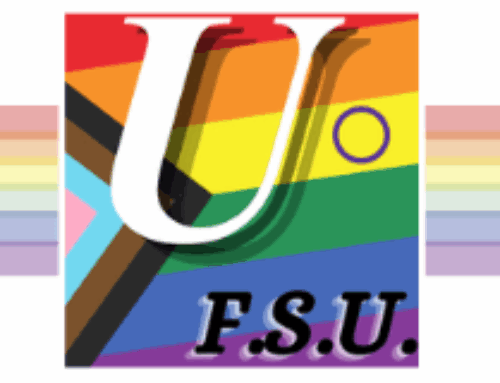 Parler du genre : 4p FSU